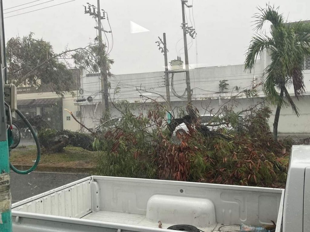 FB_IMG_1684977369714