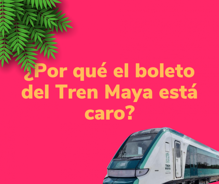 20231205_113238_0000