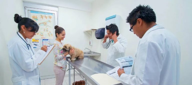 WhatsApp Image 2023-12-22 at 2.35.38 PM