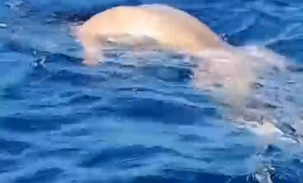 WhatsApp-Image-2024-03-29-at-12.55.36-PM-1160x700