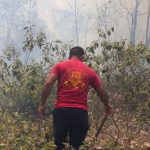 incendios
