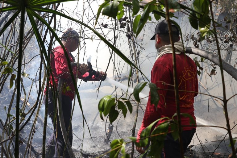 WhatsApp-Image-2024-06-14-at-12.06.46-PM