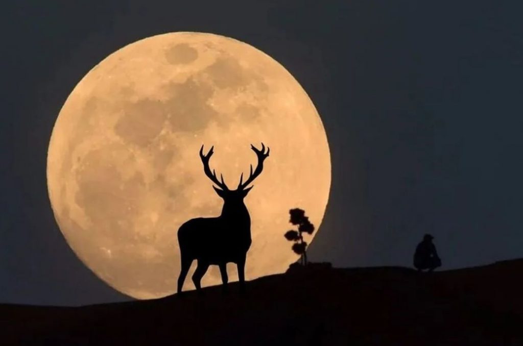 luna-de-ciervo-2024-cuando-y-donde-ver-el-fenomeno-astronomico-de-julio