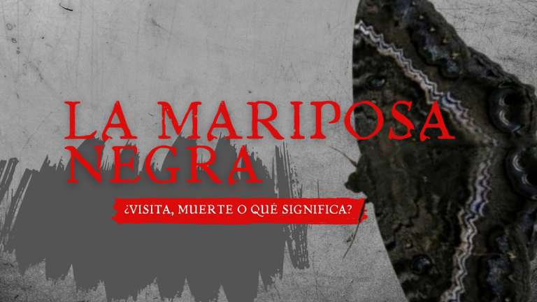 Scary Horror Mystery Video Youtube Thumbnail_20240823_111142_0000