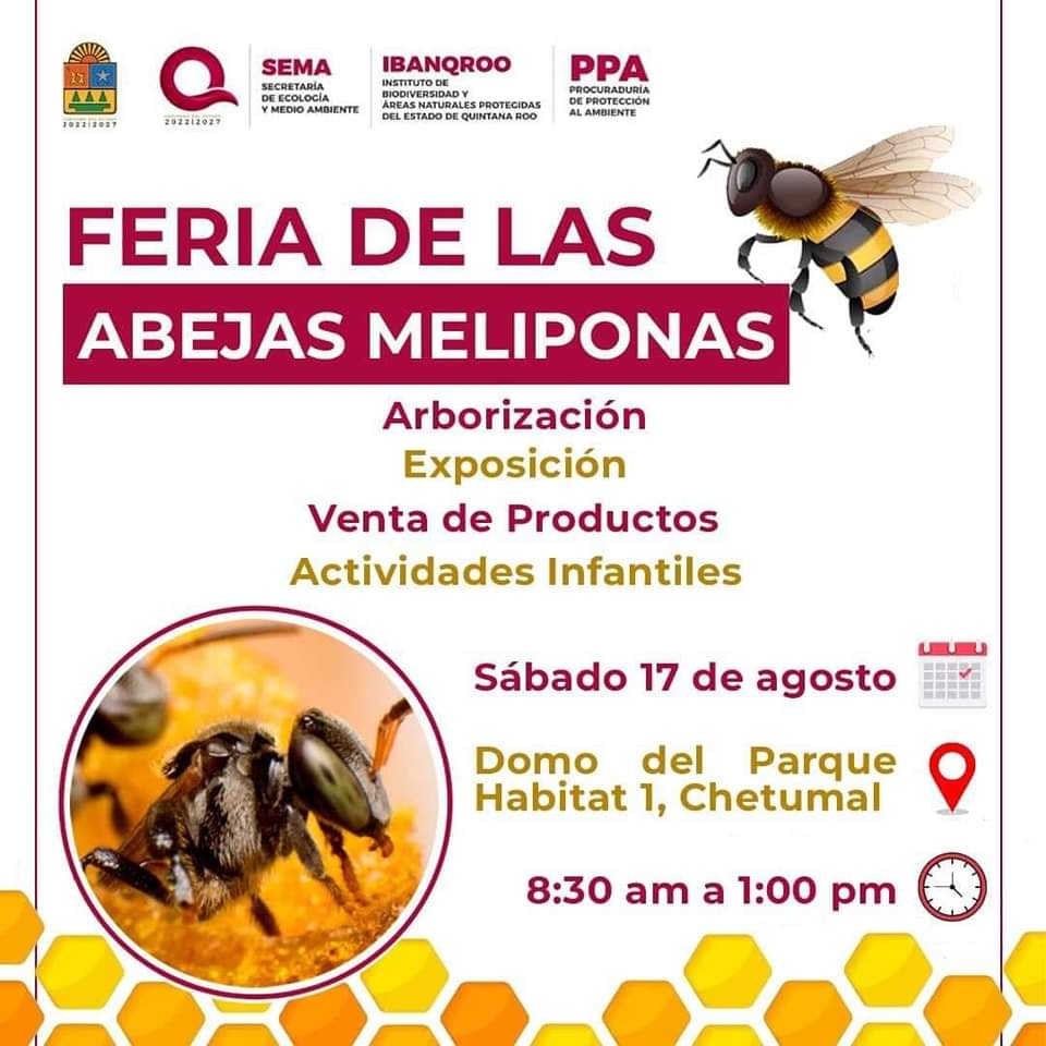 abejas
