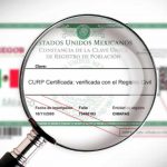 curp certificación