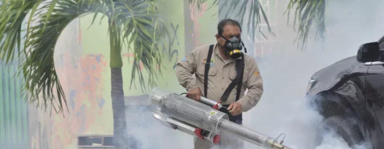 la-temporada-de-lluvias-agrava-los-casos-de-dengue-en-quintana-roo_MASTER