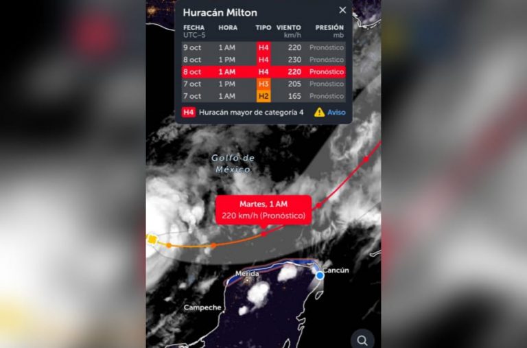 WhatsApp Image 2024-10-06 at 9.37.24 PM