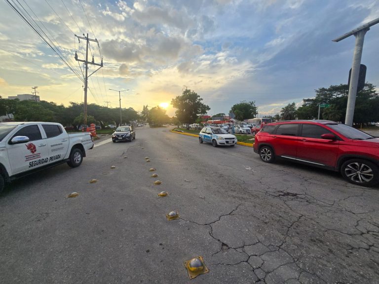 WhatsApp Image 2024-10-17 at 7.39.00 PM