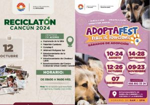reciclatón y adoptafest