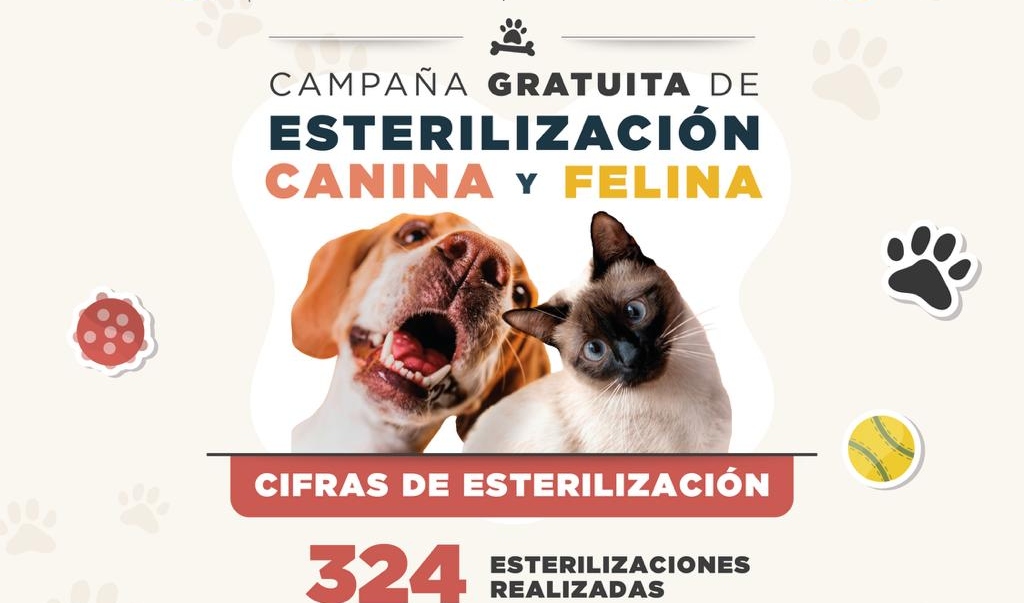 CAMPAÑA DE ESTERILIZACIÓN