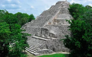 cobá