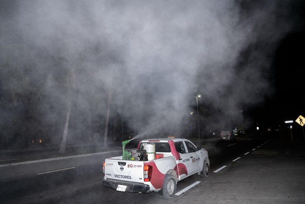 WhatsApp Image 2024-12-05 at 6.49.26 PM