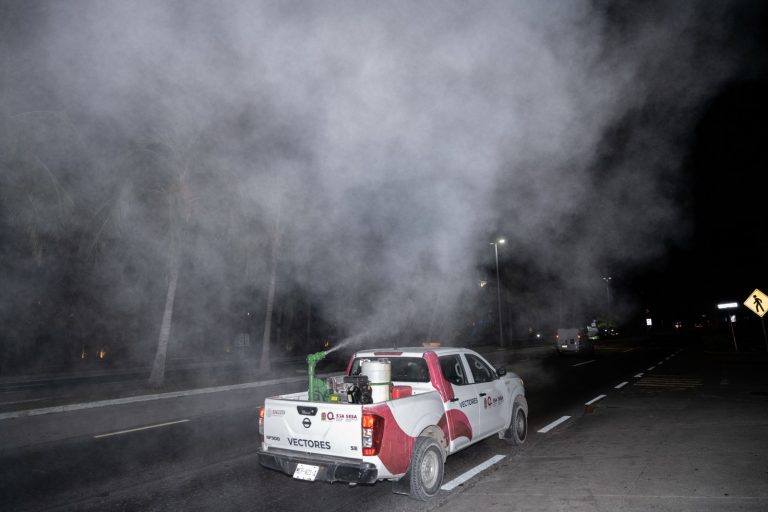 WhatsApp Image 2024-12-05 at 6.49.26 PM