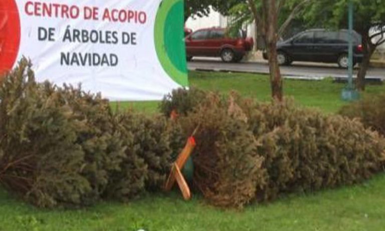 E602D1D3-411F-46B7-B43C-75B88B778B35