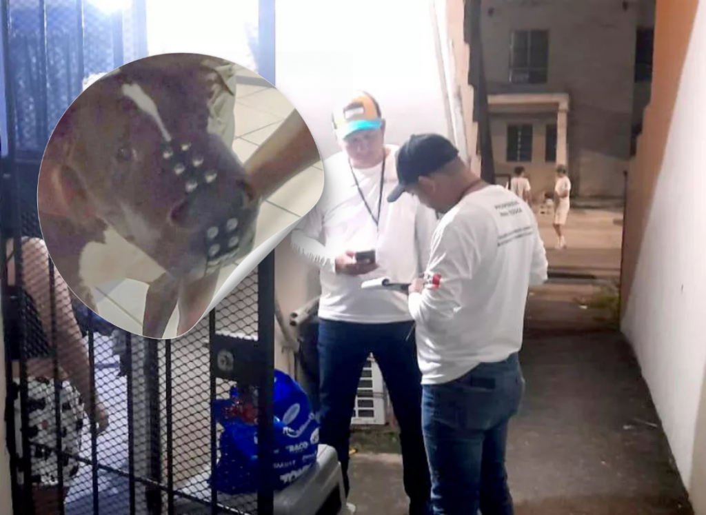 Eduardo Salamy (1080 x 788 px)