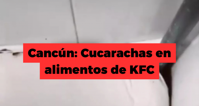 Cancún Cucarachas en alimentos de KFC