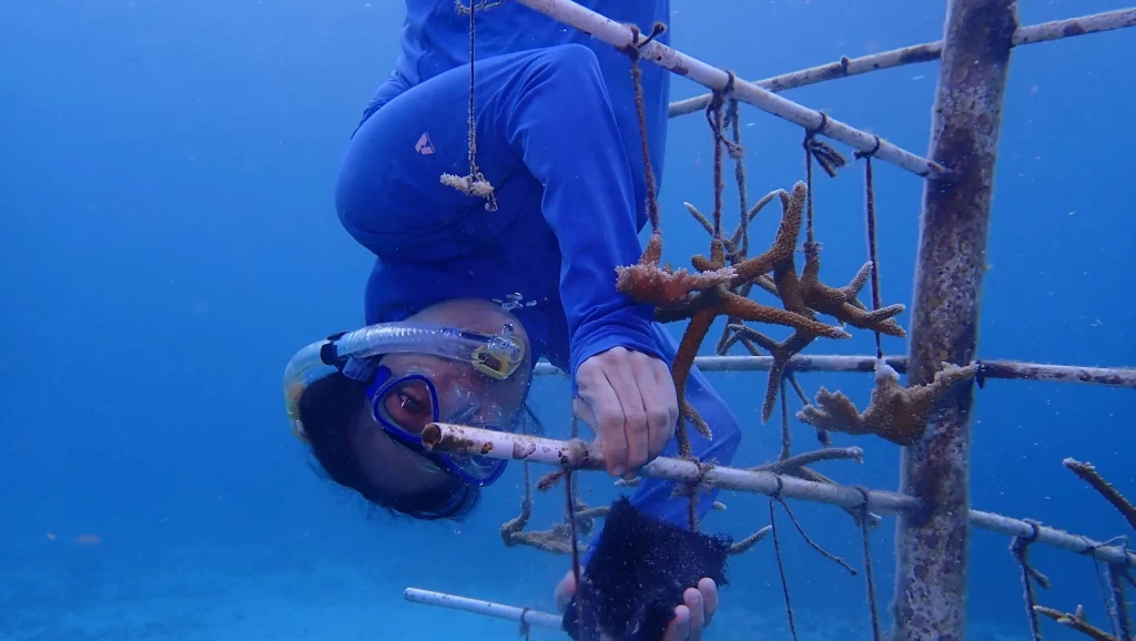 PHOTO-2025-02-03-12-16-27-3-scaled-1