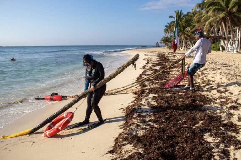 WhatsApp Image 2025-03-06 at 6.35.18 PM