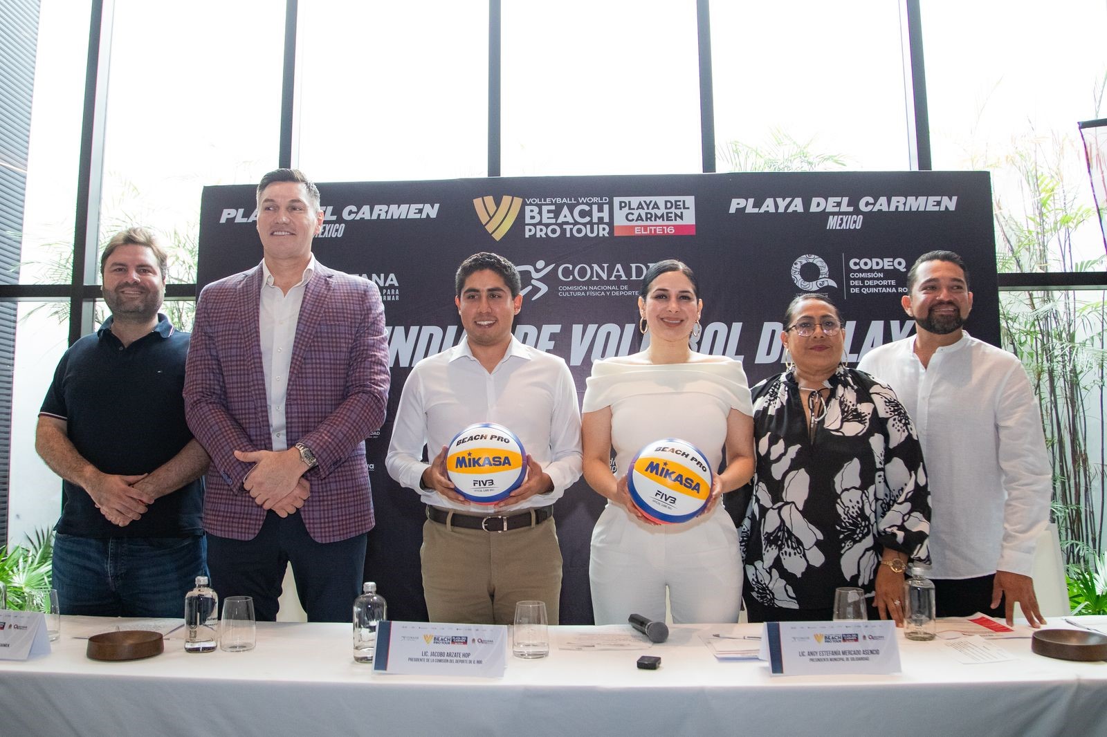 voleibol