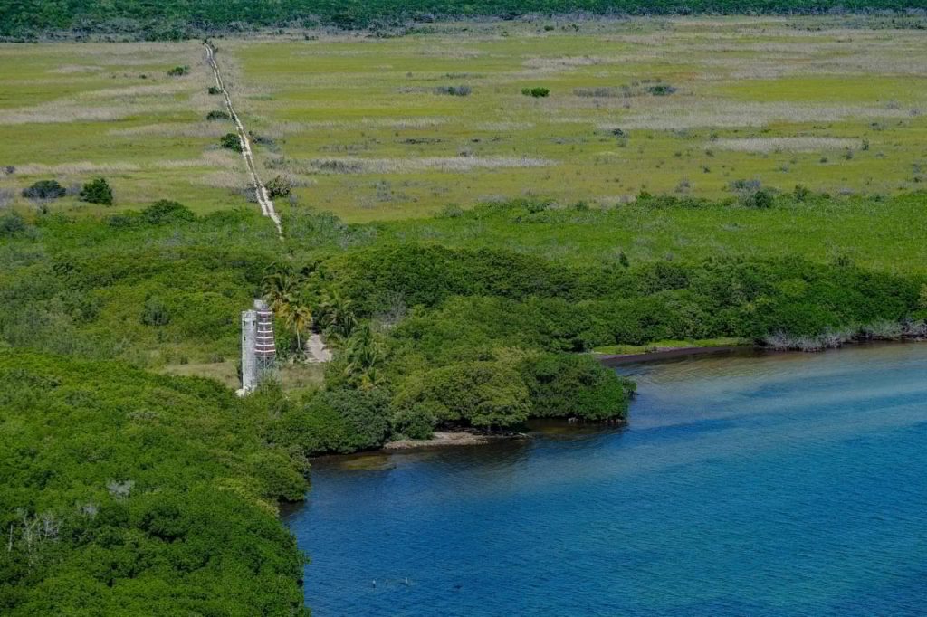 WhatsApp Image 2025-03-06 at 8.04.02 PM(1)