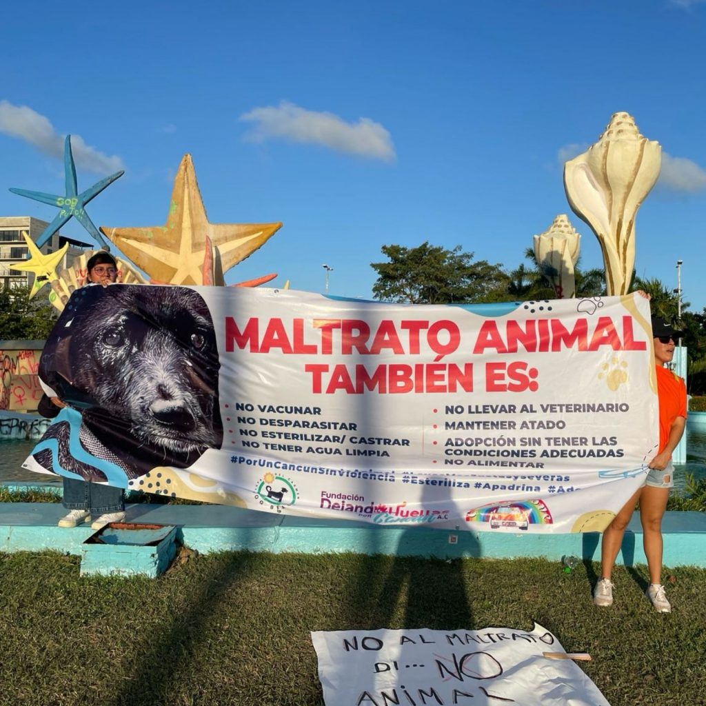 WhatsApp Image 2025-03-11 at 9.08.03 PM