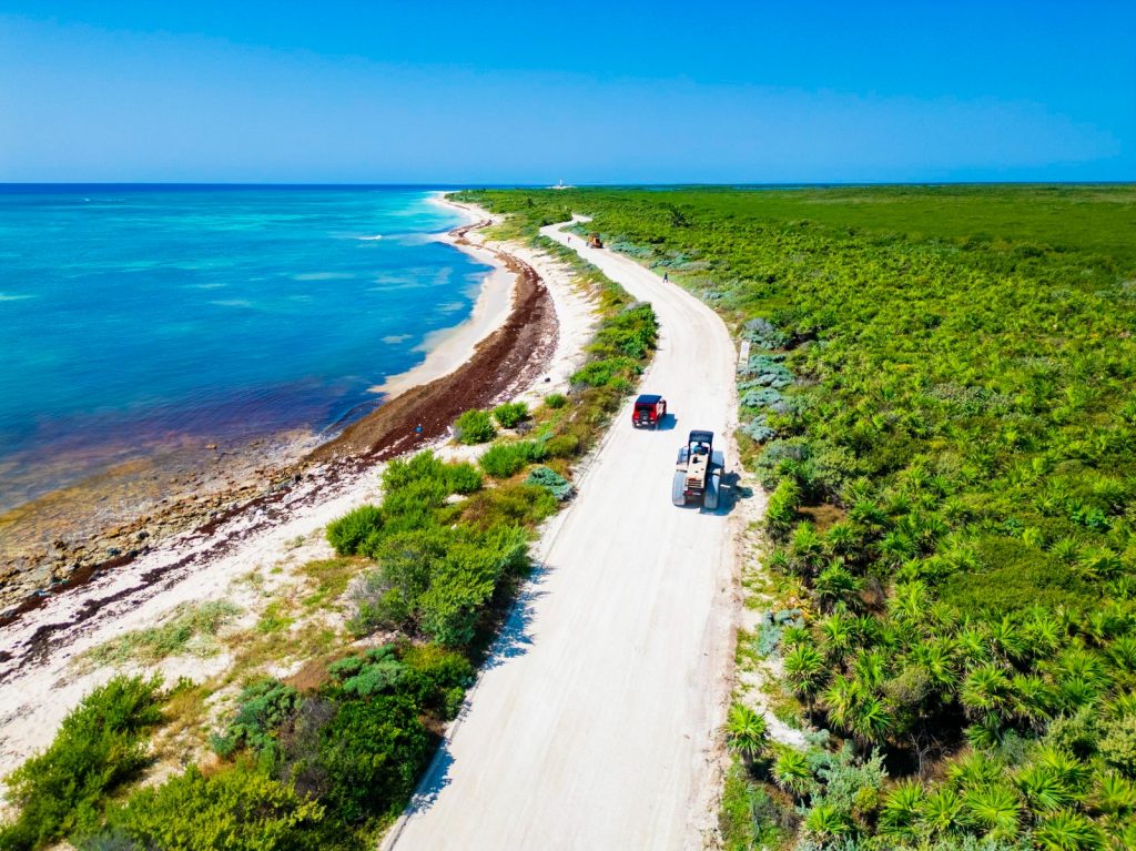 WhatsApp Image 2025-03-13 at 3.37.37 PM