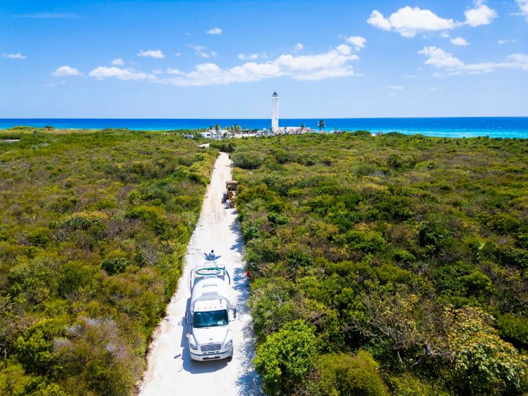 WhatsApp Image 2025-03-20 at 3.16.31 PM