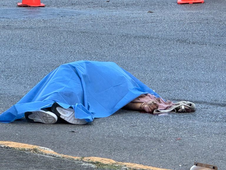 WhatsApp Image 2025-03-31 at 7.38.58 PM