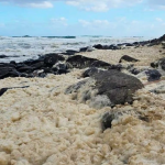 espuma surfistas