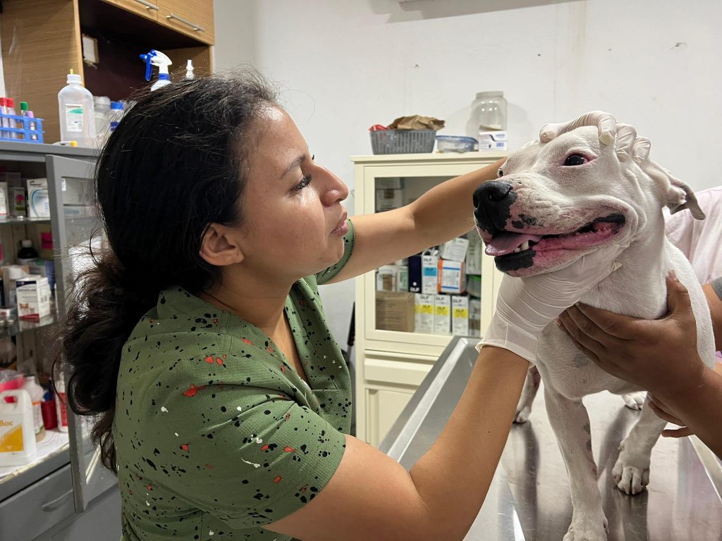 489831183_1084323527074603_5081715568479759856_n