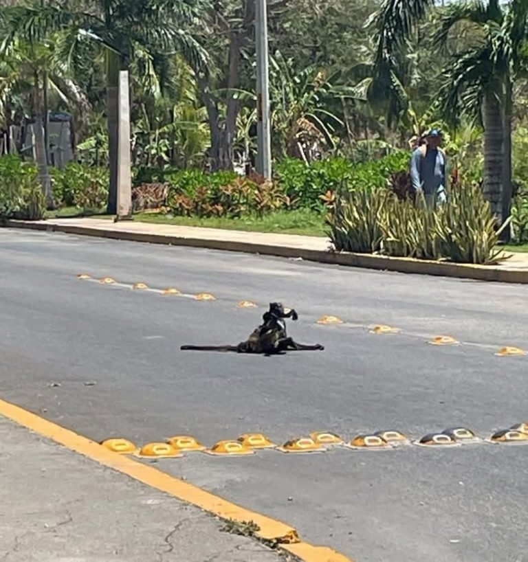 WhatsApp Image 2025-04-28 at 7.38.05 PM