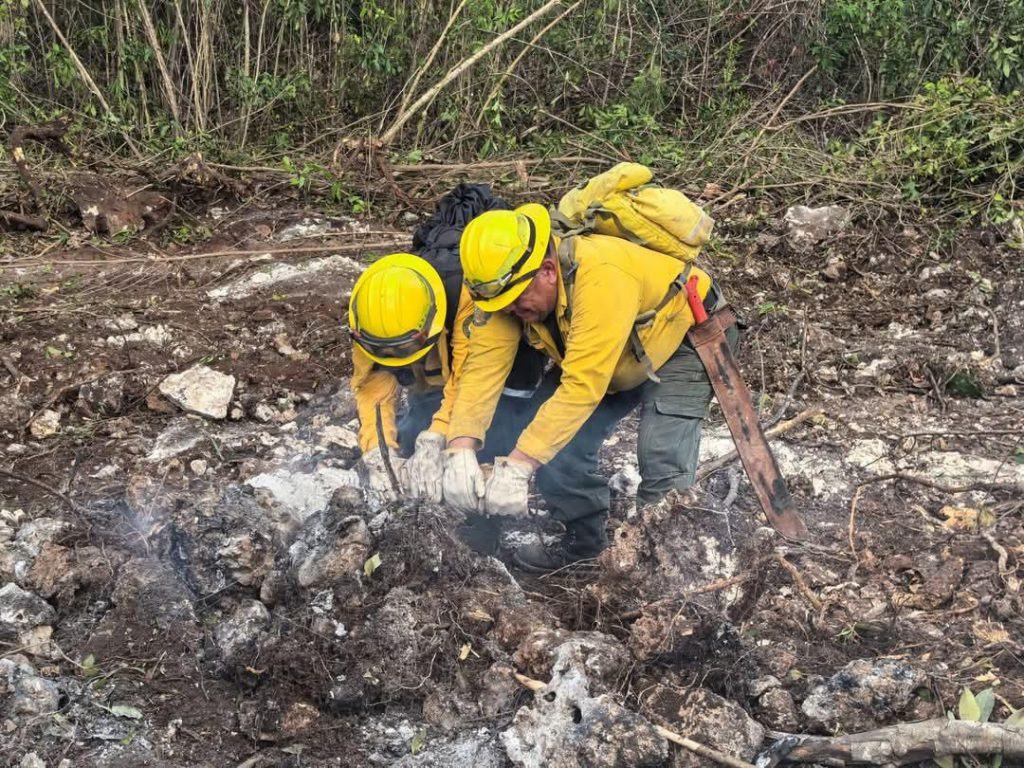 WhatsApp Image 2025-05-01 at 3.42.54 PM