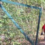 Felipe Carrillo Puerto campesino