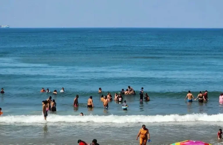 264505xeva20250625071844