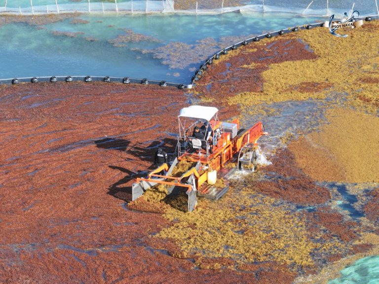 WhatsApp Image 2025-06-05 at 1.09.27 PM