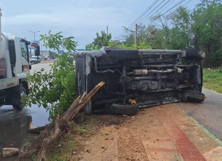 WhatsApp Image 2025-06-27 at 3.08.17 PM (1)