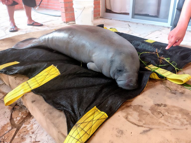 519066249_1145098257643135_7217434941381692135_n