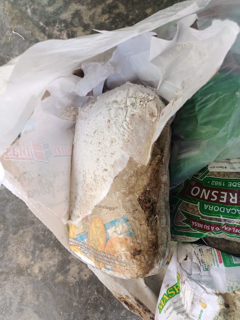 519412683_746891631439114_3622061408692691613_n