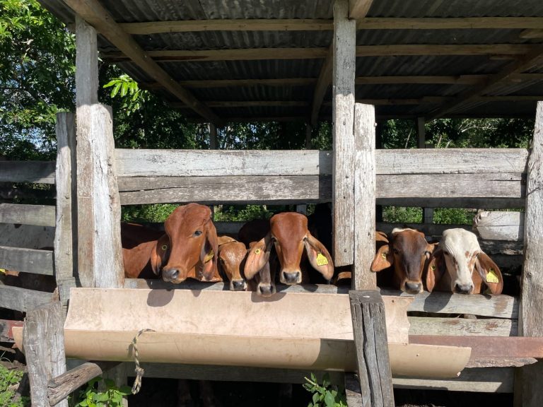 WhatsApp Image 2025-07-01 at 5.46.54 PM