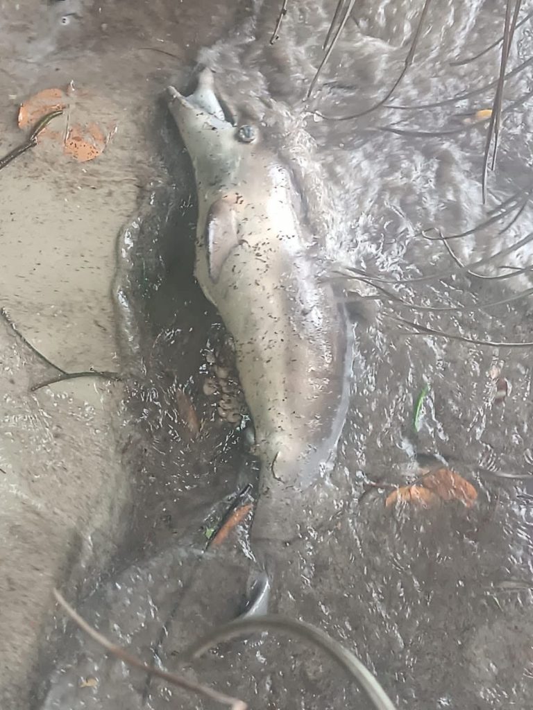 WhatsApp Image 2025-07-03 at 1.52.14 PM(1)