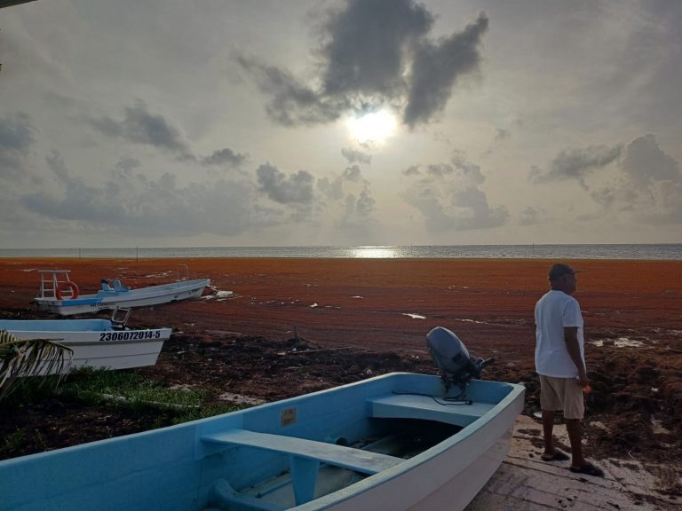 WhatsApp Image 2025-07-03 at 4.32.32 PM