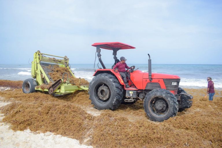 WhatsApp Image 2025-07-10 at 2.11.45 PM