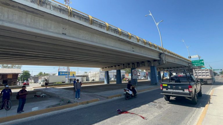 WhatsApp Image 2025-07-15 at 11.51.49 AM