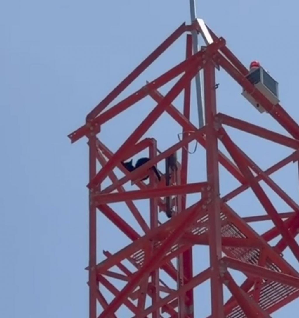 WhatsApp Image 2025-07-21 at 3.13.55 PM