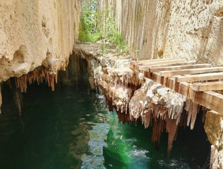 WhatsApp Image 2025-07-22 at 7.19.47 PM (1)