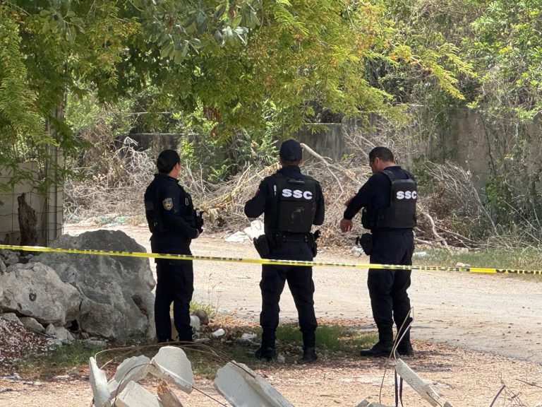 WhatsApp Image 2025-07-23 at 1.27.11 PM