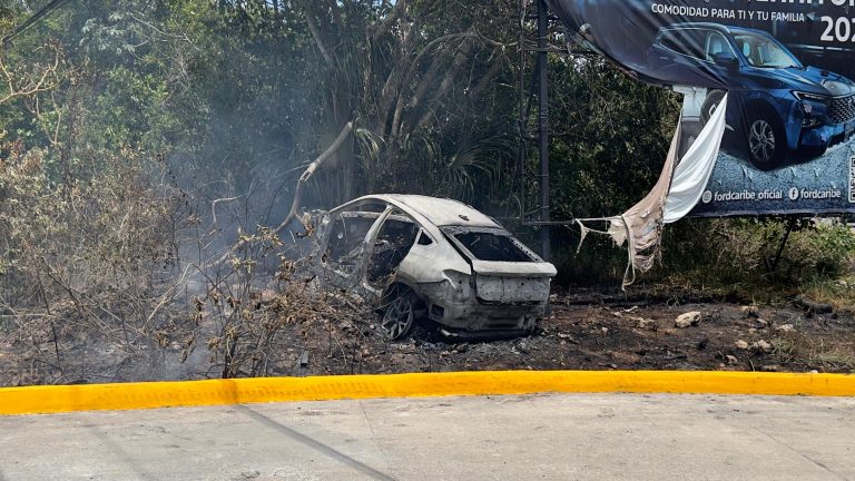 WhatsApp Image 2025-07-24 at 1.50.50 PM