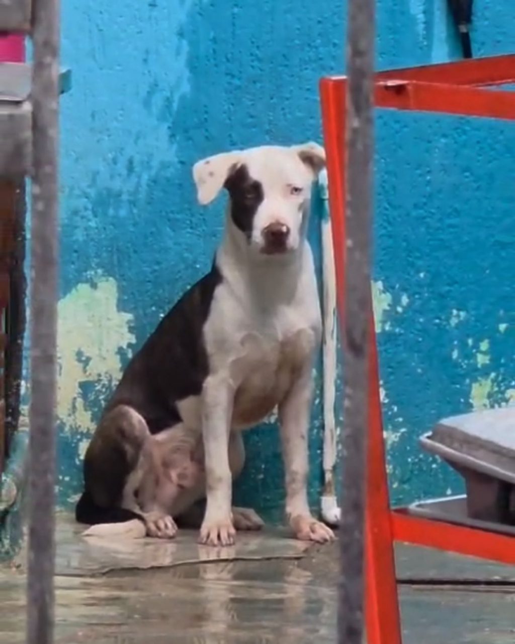 WhatsApp Image 2025-07-25 at 4.18.52 PM(2)