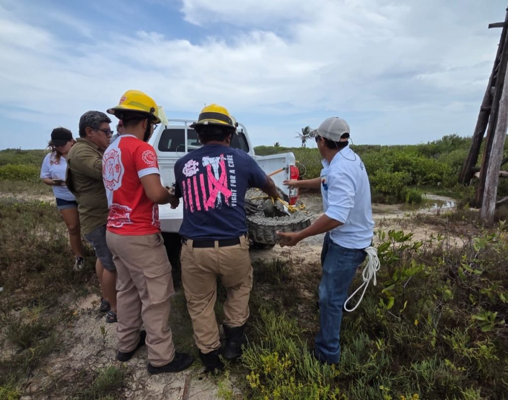 WhatsApp Image 2025-07-26 at 6.40.13 PM